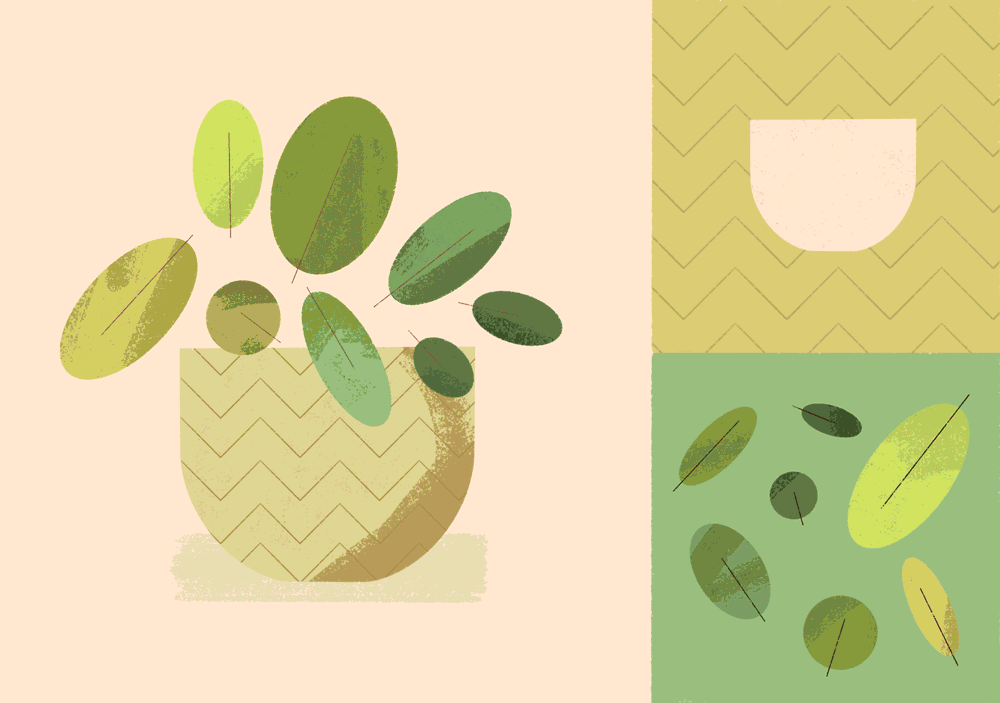 Personal Projects